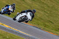 PJ-Motorsport-2019;anglesey-no-limits-trackday;anglesey-photographs;anglesey-trackday-photographs;enduro-digital-images;event-digital-images;eventdigitalimages;no-limits-trackdays;peter-wileman-photography;racing-digital-images;trac-mon;trackday-digital-images;trackday-photos;ty-croes